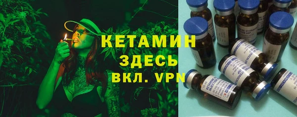 гидра Арсеньев